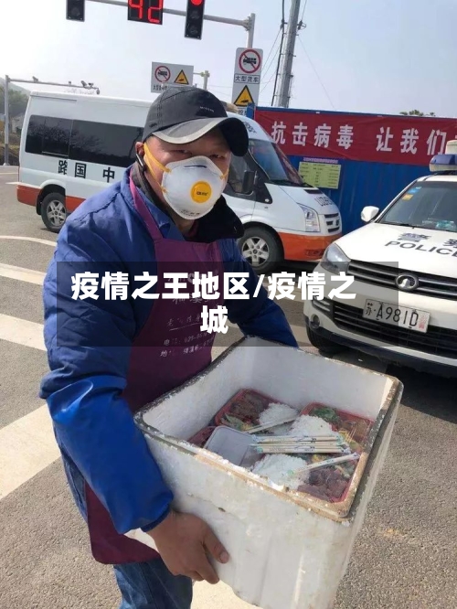 疫情之王地区/疫情之城-第1张图片