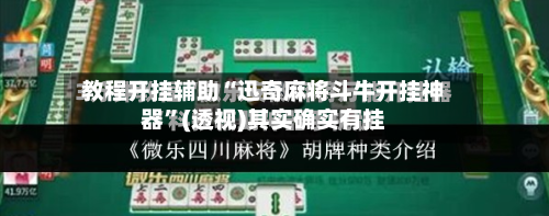 教程开挂辅助“迅奇麻将斗牛开挂神器”(透视)其实确实有挂-第2张图片