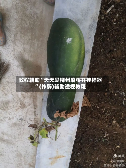 教程辅助“天天爱柳州麻将开挂神器	”(作弊)辅助透视教程-第1张图片