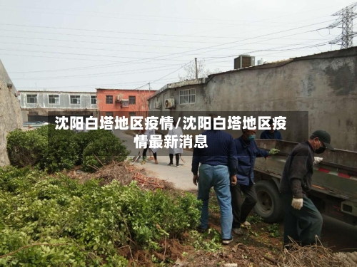 沈阳白塔地区疫情/沈阳白塔地区疫情最新消息-第3张图片