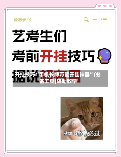 开挂技巧“手机长牌万能开挂神器”(必备工具)辅助教学-第2张图片