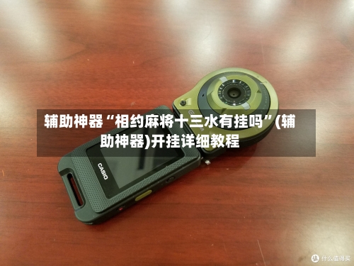 辅助神器“相约麻将十三水有挂吗”(辅助神器)开挂详细教程-第2张图片