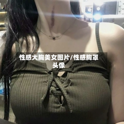 性感大胸美女图片/性感胸罩头像-第2张图片