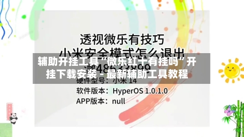 辅助开挂工具“微乐红十有挂吗	”开挂下载安装 - 最新辅助工具教程-第2张图片