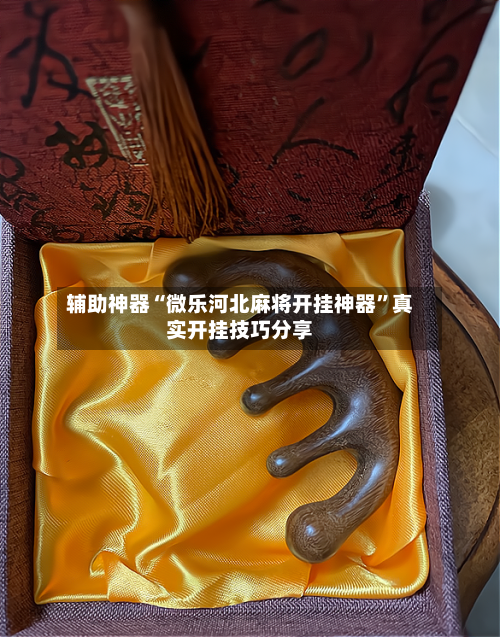 辅助神器“微乐河北麻将开挂神器”真实开挂技巧分享-第2张图片