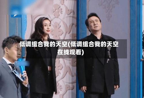 低调组合我的天空(低调组合我的天空在线观看)-第2张图片