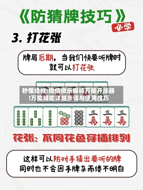 秒懂经验:微信微乐麻将万能开挂器!万能辅助详细步骤与使用技巧-第2张图片