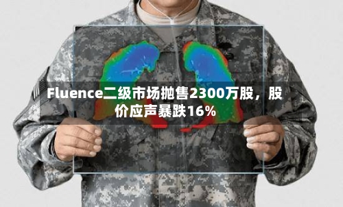 Fluence二级市场抛售2300万股	，股价应声暴跌16%-第3张图片