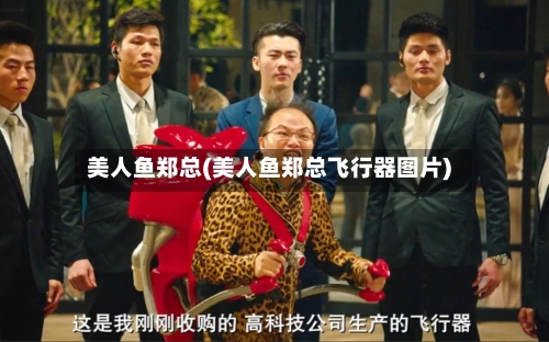美人鱼郑总(美人鱼郑总飞行器图片)-第2张图片