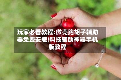 玩家必看教程:微壳跑胡子辅助器免费安装!科技辅助神器手机版教程-第1张图片