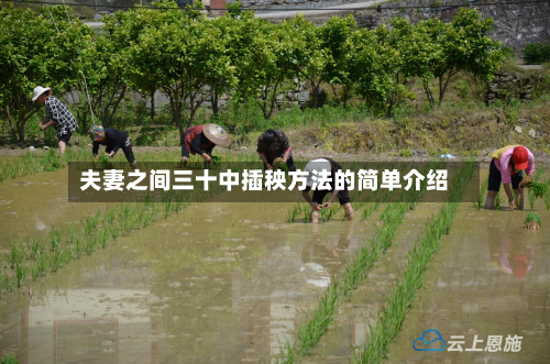 夫妻之间三十中插秧方法的简单介绍-第1张图片
