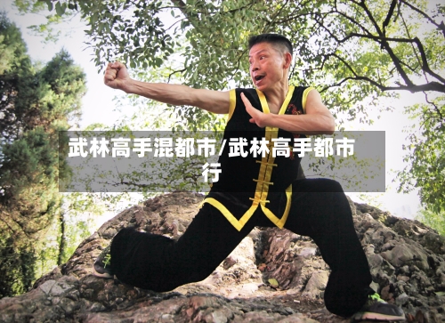 武林高手混都市/武林高手都市行-第1张图片