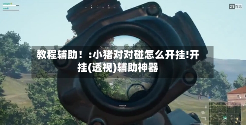 教程辅助！:小猪对对碰怎么开挂!开挂(透视)辅助神器-第2张图片