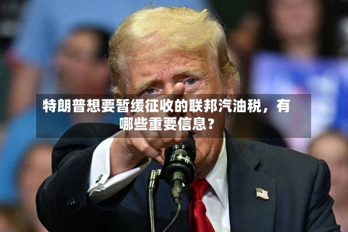 特朗普想要暂缓征收的联邦汽油税	，有哪些重要信息？-第3张图片