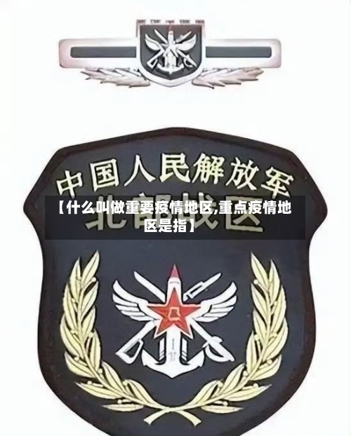 【什么叫做重要疫情地区,重点疫情地区是指】-第2张图片