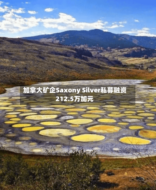 加拿大矿企Saxony Silver私募融资212.5万加元-第2张图片
