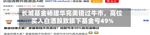 长城基金杨建华完美错过牛市，高位买入白酒股致旗下基金亏49%-第1张图片