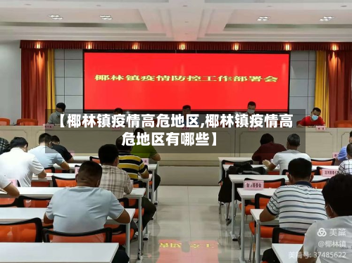 【椰林镇疫情高危地区,椰林镇疫情高危地区有哪些】-第2张图片