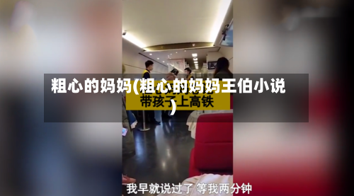粗心的妈妈(粗心的妈妈王伯小说)-第2张图片