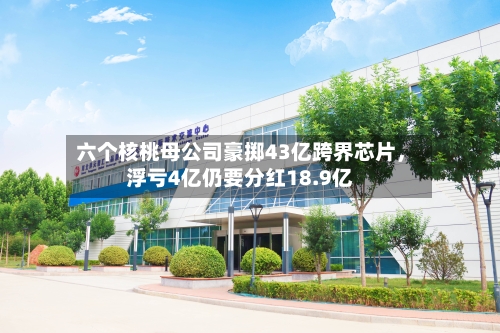 六个核桃母公司豪掷43亿跨界芯片，浮亏4亿仍要分红18.9亿-第2张图片