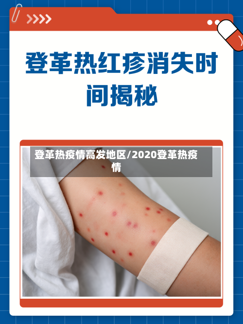登革热疫情高发地区/2020登革热疫情-第1张图片