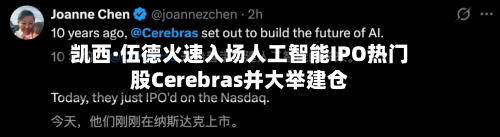 凯西·伍德火速入场人工智能IPO热门股Cerebras并大举建仓-第1张图片