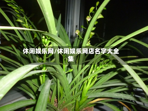 休闲娱乐网/休闲娱乐网店名字大全集-第2张图片