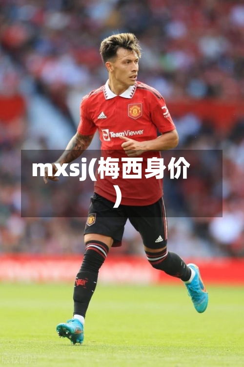 mxsj(梅西身价)-第2张图片