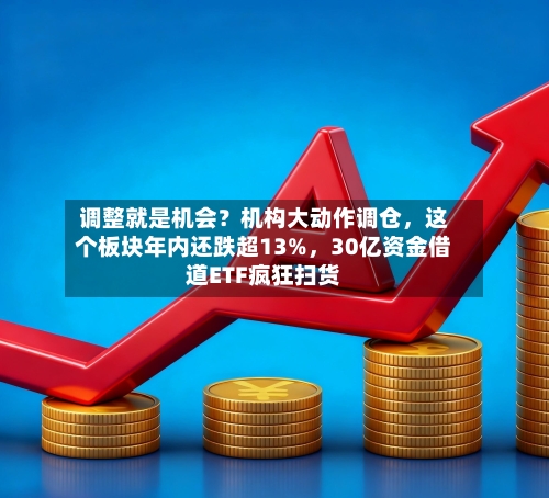 调整就是机会？机构大动作调仓，这个板块年内还跌超13%	，30亿资金借道ETF疯狂扫货-第2张图片
