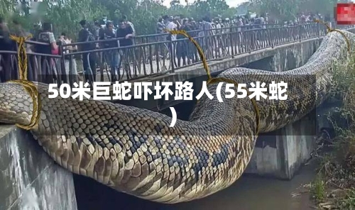 50米巨蛇吓坏路人(55米蛇)-第2张图片