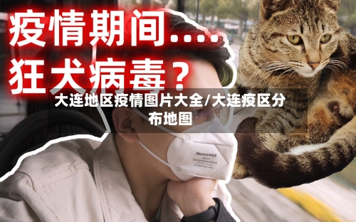 大连地区疫情图片大全/大连疫区分布地图-第3张图片