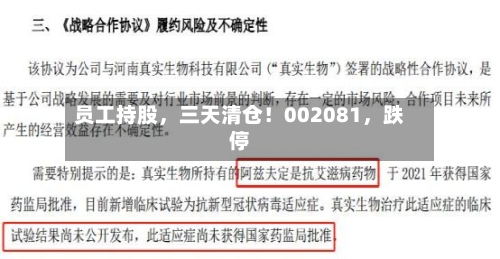 员工持股，三天清仓！002081，跌停-第3张图片
