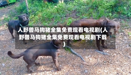 人野兽马狗猪全集免费观看电视剧(人野兽马狗猪全集免费观看电视剧下载)-第2张图片