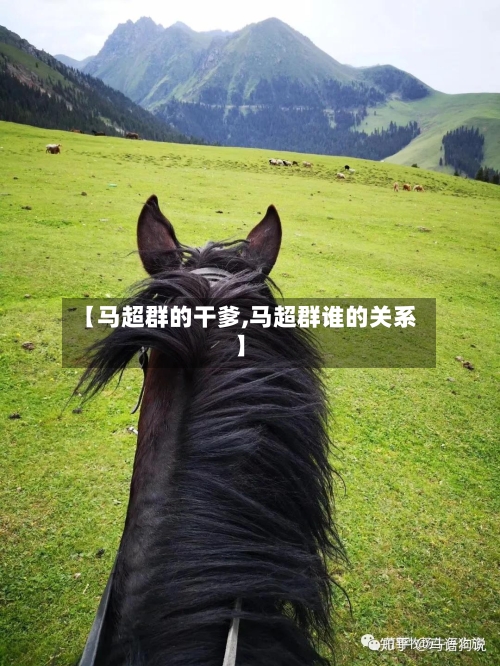 【马超群的干爹,马超群谁的关系】-第1张图片
