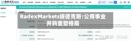 RadexMarkets瑞德克斯:公用事业并购重塑格局-第2张图片
