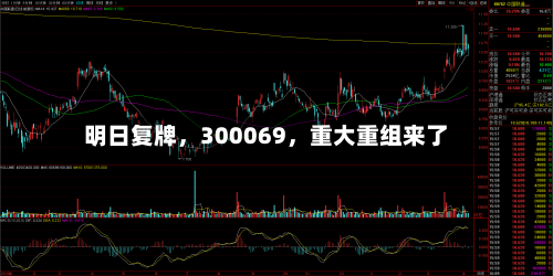 明日复牌，300069	，重大重组来了-第2张图片