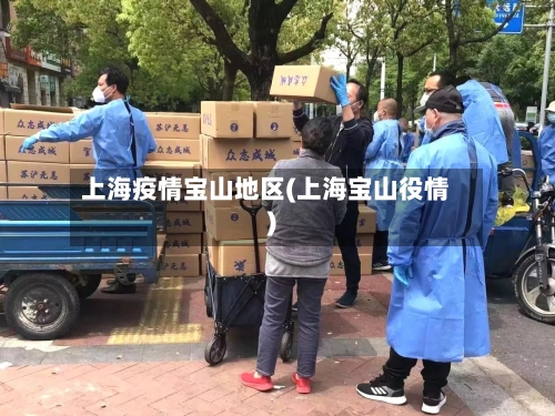 上海疫情宝山地区(上海宝山役情)-第2张图片