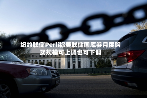 纽约联储Perli称美联储国库券月度购买规模可上调也可下调-第2张图片