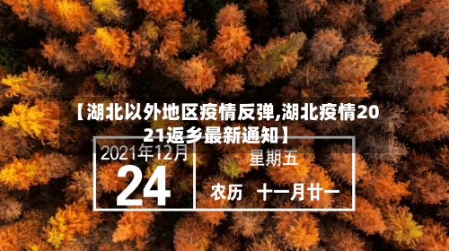 【湖北以外地区疫情反弹,湖北疫情2021返乡最新通知】-第1张图片