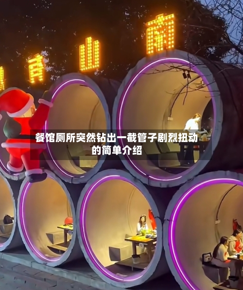 餐馆厕所突然钻出一截管子剧烈扭动的简单介绍-第1张图片