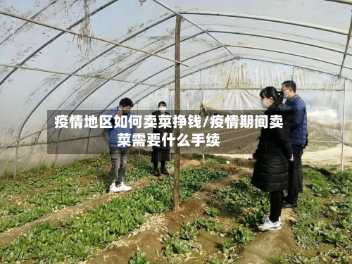 疫情地区如何卖菜挣钱/疫情期间卖菜需要什么手续-第1张图片