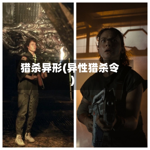 猎杀异形(异性猎杀令)-第2张图片