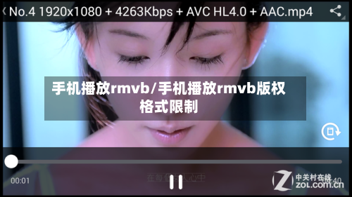 手机播放rmvb/手机播放rmvb版权格式限制-第2张图片