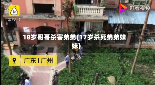 18岁哥哥杀害弟弟(17岁杀死弟弟妹妹)-第3张图片