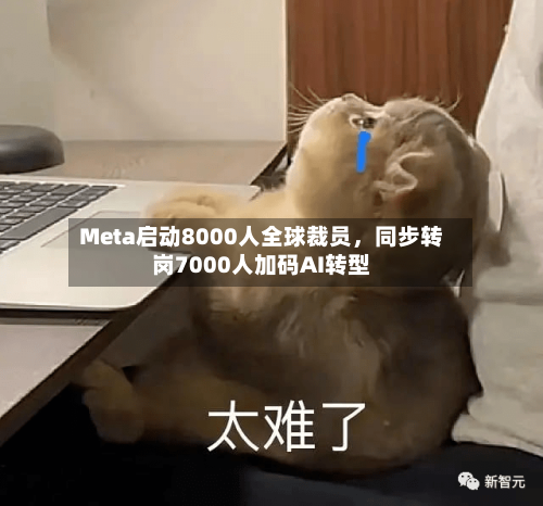 Meta启动8000人全球裁员	，同步转岗7000人加码AI转型-第1张图片