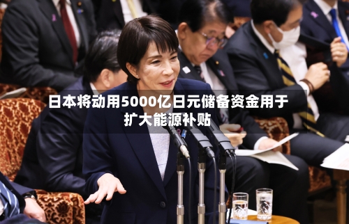日本将动用5000亿日元储备资金用于扩大能源补贴-第3张图片