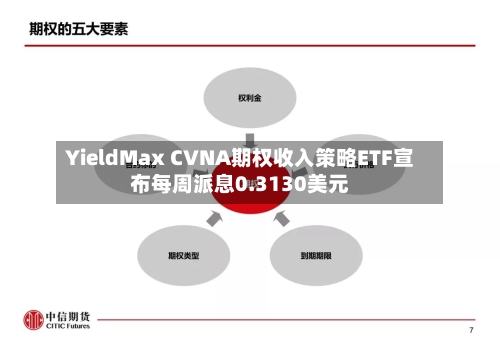 YieldMax CVNA期权收入策略ETF宣布每周派息0.3130美元-第2张图片
