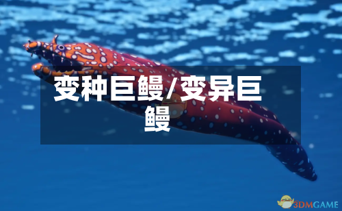 变种巨鳗/变异巨鳗-第3张图片