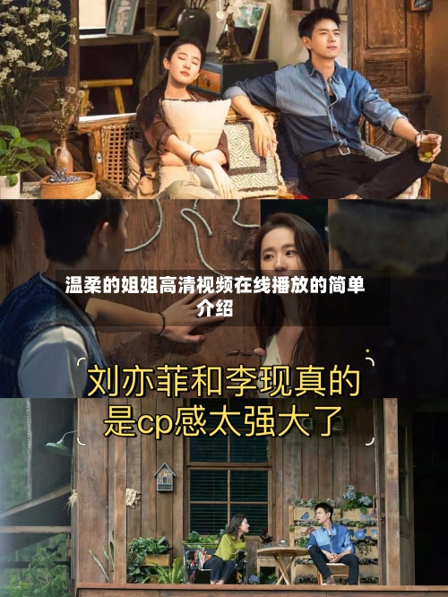 温柔的姐姐高清视频在线播放的简单介绍-第3张图片