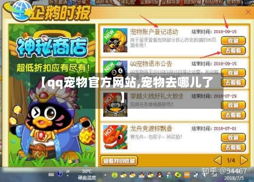 【qq宠物官方网站,宠物去哪儿了】-第1张图片